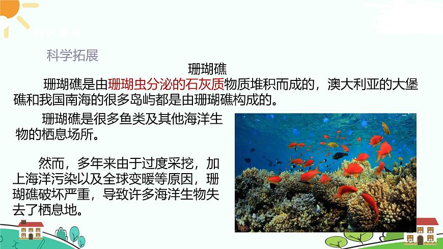 浙教版2024七年級(jí)上冊(cè)科學(xué)第3節(jié)  多姿多彩的動(dòng)物（第1課時(shí)）  課件第5頁(yè)