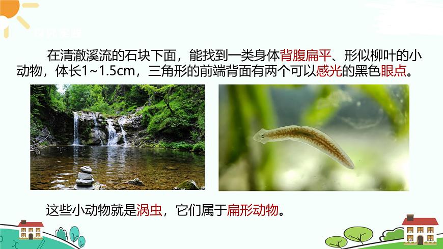 浙教版2024七年級(jí)上冊(cè)科學(xué)第3節(jié)  多姿多彩的動(dòng)物（第1課時(shí)）  課件第6頁(yè)