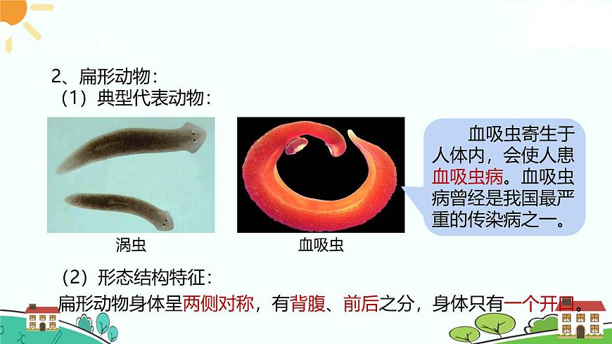 浙教版2024七年級(jí)上冊(cè)科學(xué)第3節(jié)  多姿多彩的動(dòng)物（第1課時(shí)）  課件第7頁(yè)