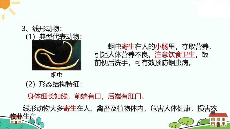 浙教版2024七年级上册科学第3节 多姿多彩的动物(第1课时) 课件08