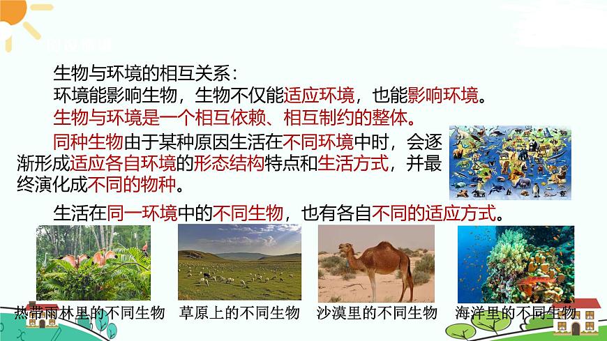 浙教版2024七年級上冊科學第5節(jié)  生物的多樣性（第2課時）  課件第2頁