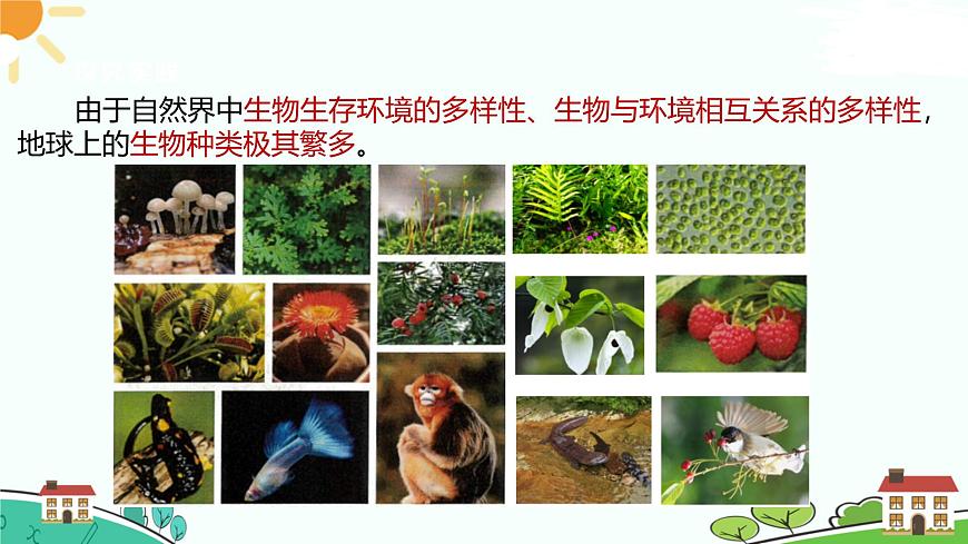 浙教版2024七年級上冊科學第5節(jié)  生物的多樣性（第2課時）  課件第3頁
