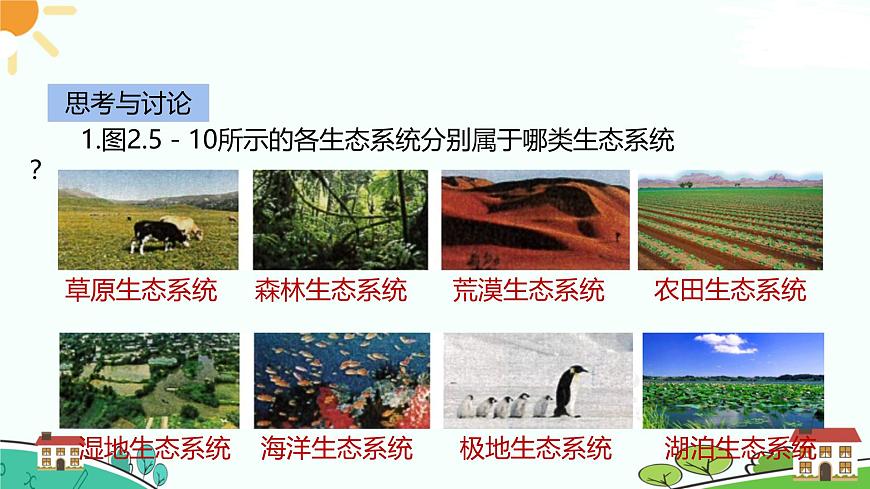 浙教版2024七年級上冊科學第5節(jié)  生物的多樣性（第2課時）  課件第5頁