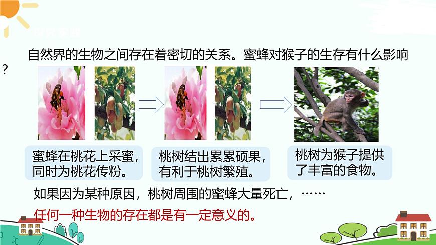 浙教版2024七年級上冊科學第5節(jié)  生物的多樣性（第2課時）  課件第7頁