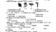 科学七年级上册（2024）第2节 形形色色的植物精品第2课时同步训练题