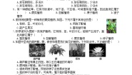浙教版（2024）七年级上册（2024）第2节 形形色色的植物精品第1课时练习题
