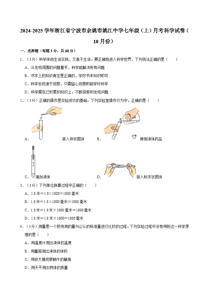 浙江省宁波市姚江中学2024-2025学年七年级上学期10月月考科学试题