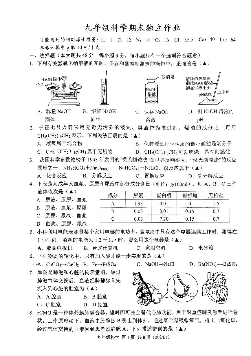 2024-2025学年浙江省杭州市临平区九年级（上）期末科学模拟试卷