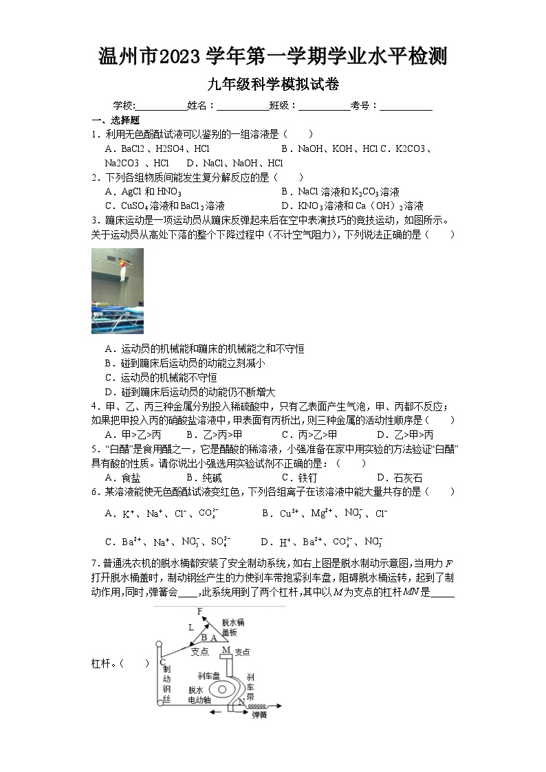 2023-2024学年浙江省温州市九年级（上）期末科学模拟练习试卷