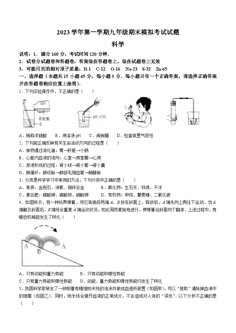 2023-2024学年浙江省台州市北京师大台州实验学校九年级（上）期末科学模拟试卷