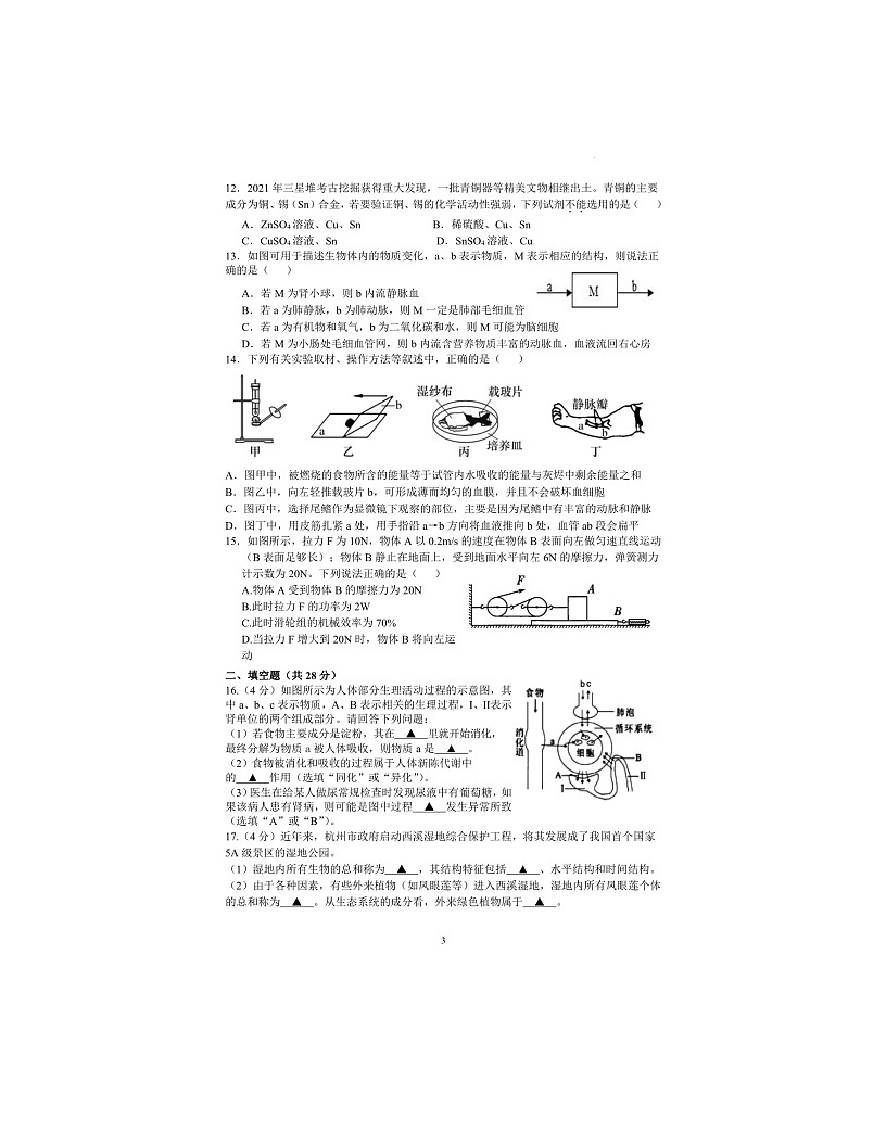 2023-2024學(xué)年浙江省杭州市拱墅區(qū)九年級(jí)（上）期末科學(xué)模擬練習(xí)試卷（2）第3頁(yè)