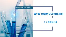 2.4 物质的分类（教学课件）-2024-2025学年度九年级科学上册同步高效课堂（浙教版）