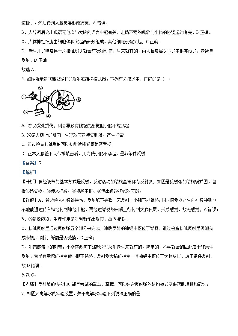 浙江省杭州市外国语学校2023 -2024学年上学期八年级科学期中试卷(解析版)03