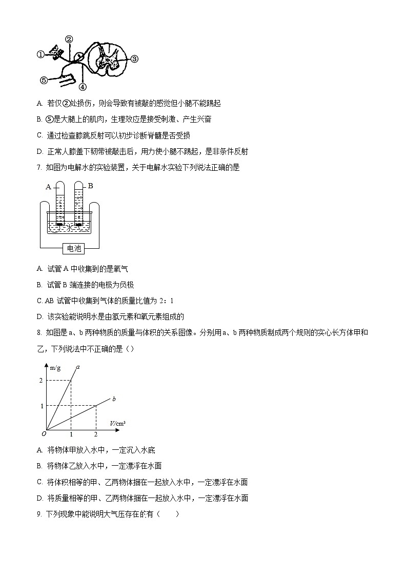 浙江省杭州市外国语学校2023 -2024学年上学期八年级科学期中试卷(原卷版)第2页