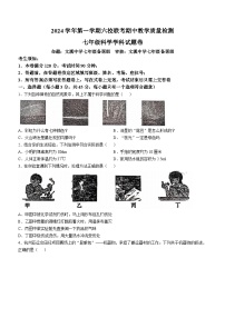 浙江省杭州市六校联考2024-2025学年七年级上学期期中科学测试卷(无答案)