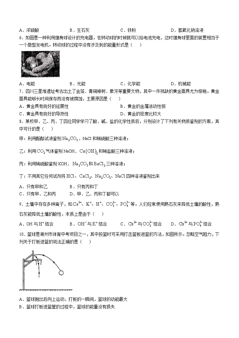 浙江湖州市吴兴区第五中学2024-2025学年九年级上学期期中科学试卷(无答案)第2页
