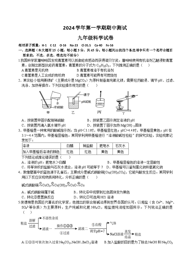 2024第一学期期中九年级科学试题卷第1页
