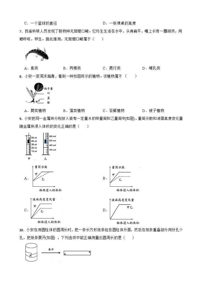浙江省温州市瑞安市五校联考2024-2025学年七年级上学期期中科学试卷02