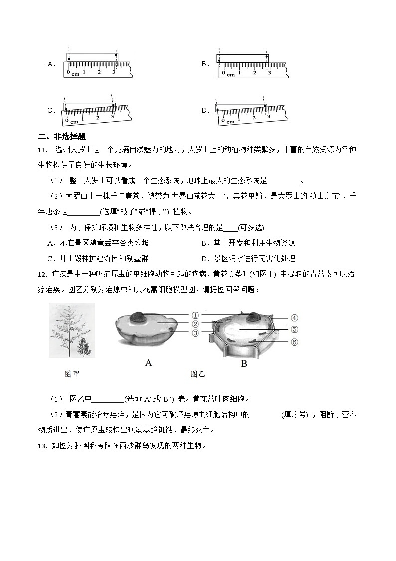 浙江省温州市瑞安市五校联考2024-2025学年七年级上学期期中科学试卷03