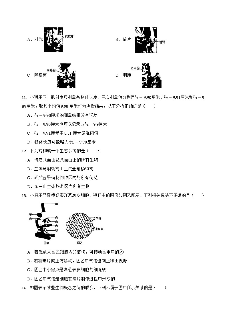 浙江省金华市东阳市江北五校联考2024-2025学年七年级上学期11月期中科学试题第3页