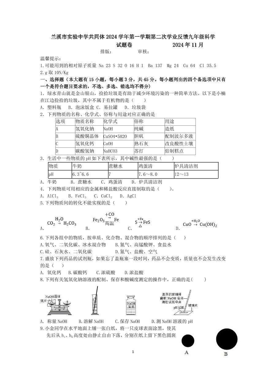 浙江省金华市兰溪市实验中学共同体2024-2025学年九年级上学期期中测试科学试卷