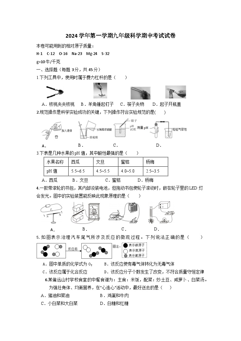 浙江省宁波市鄞州区2024-2025学年九年级上学期期中科学试卷