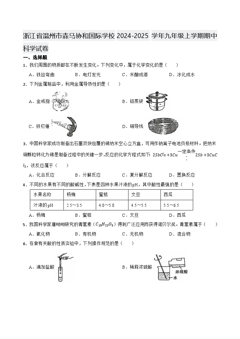 浙江省温州市森马协和国际学校2024-2025学年九年级上学期期中科学试卷