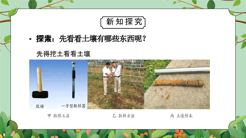 浙教版(2024)科学八下第4章4.1《土壤的成分》PPT课件第8页