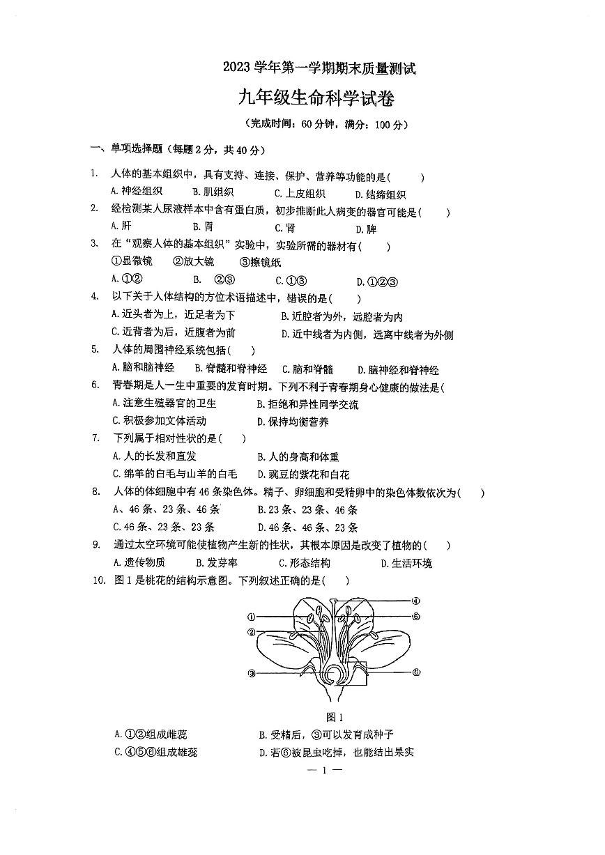 上海市浦东模范中学2023-2024学年九年级上学期生命科学期末试卷