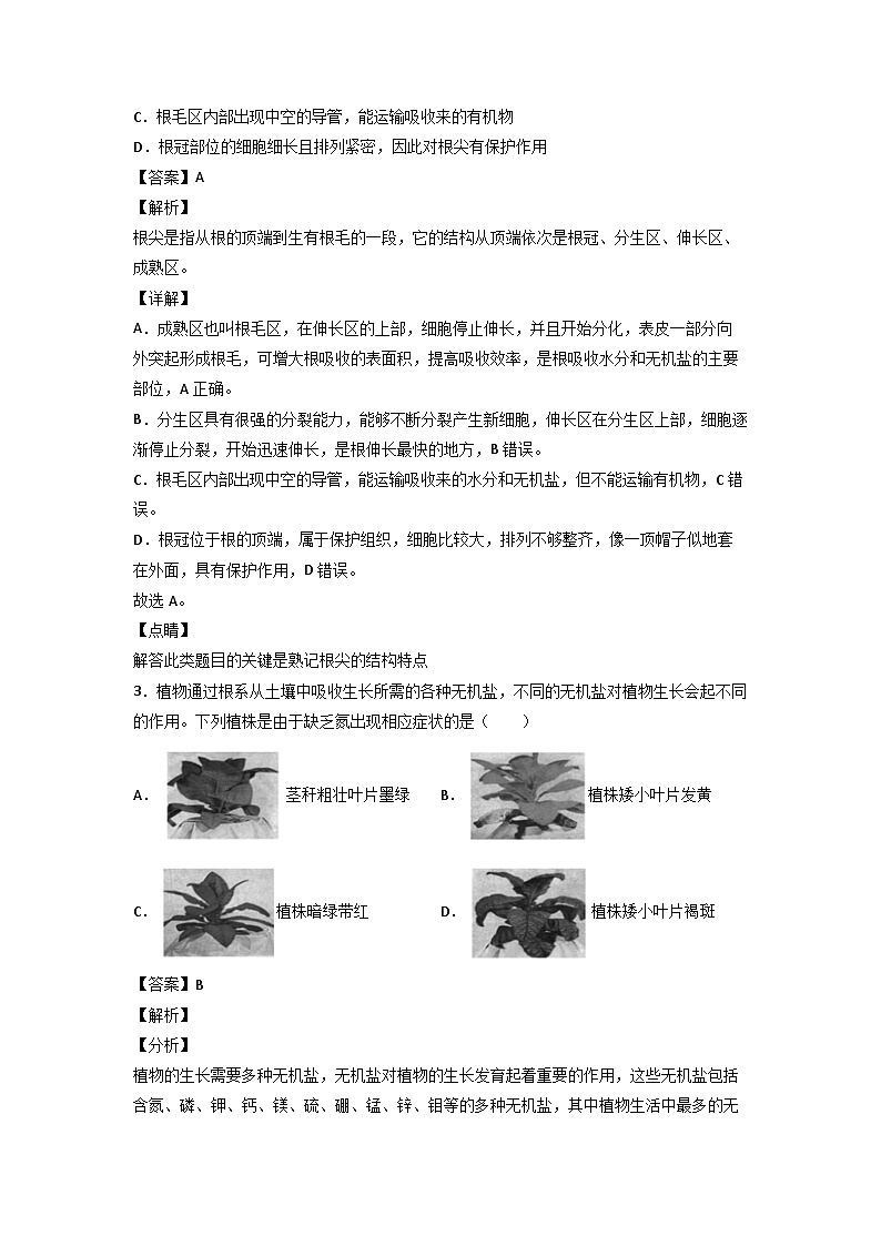 浙教版八下科学4.3《植物的根与物质吸收》同步作业(解析版)第2页