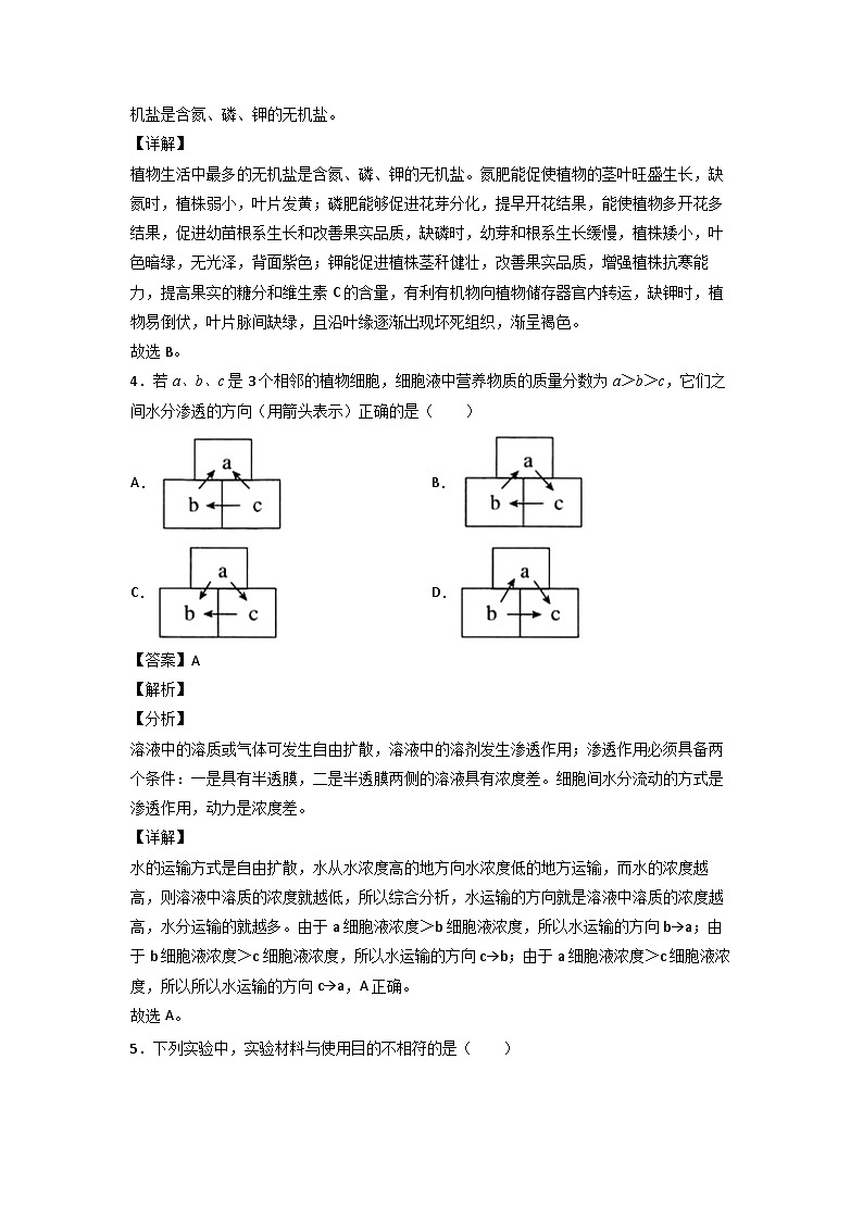 浙教版八下科学4.3《植物的根与物质吸收》同步作业(解析版)第3页
