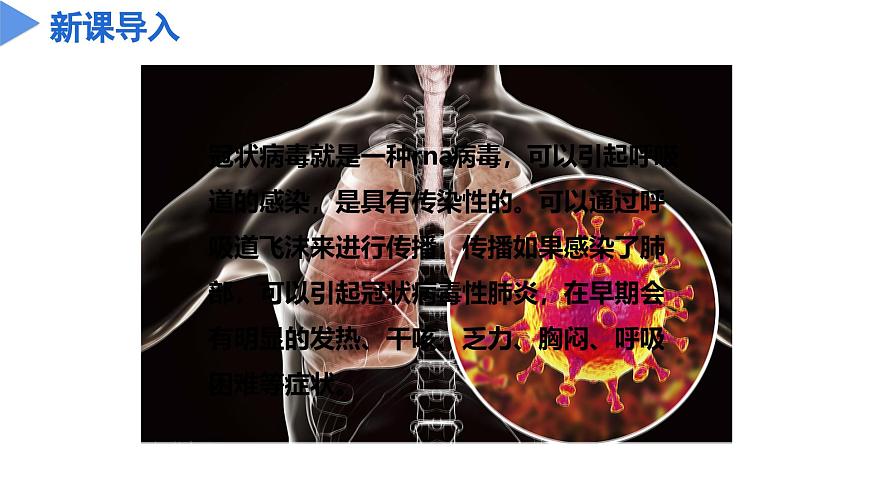 第三章 3.2 來(lái)自微生物的威脅(教學(xué)課件)-九年級(jí)科學(xué)下冊(cè)(浙教版)第5頁(yè)
