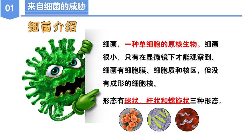 第三章 3.2 來(lái)自微生物的威脅(教學(xué)課件)-九年級(jí)科學(xué)下冊(cè)(浙教版)第7頁(yè)