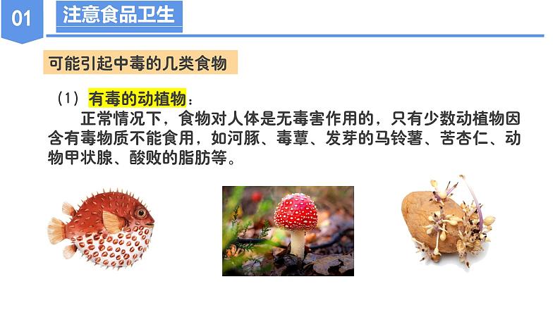 第三章 3.6 健康生活(教学课件)--九年级科学下册(浙教版)第8页