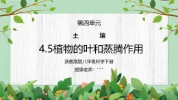 浙教版八下科学4.5《植物的叶与蒸腾作用》课件+教案+分层作业（原卷版+解析版）