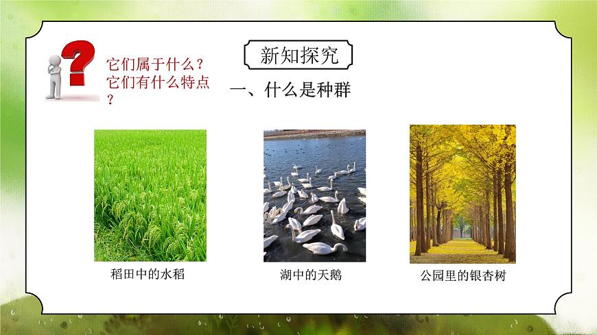 浙教版初中科學(xué)九下第2章2.2《種群》課件第5頁