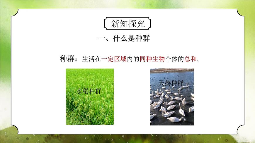 浙教版初中科學(xué)九下第2章2.2《種群》課件第6頁