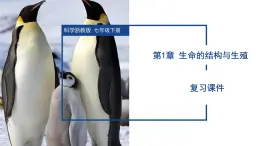 第1章 生命的结构与生殖（单元复习课件）-2024-2025学年七年级科学下册（浙教版2024）