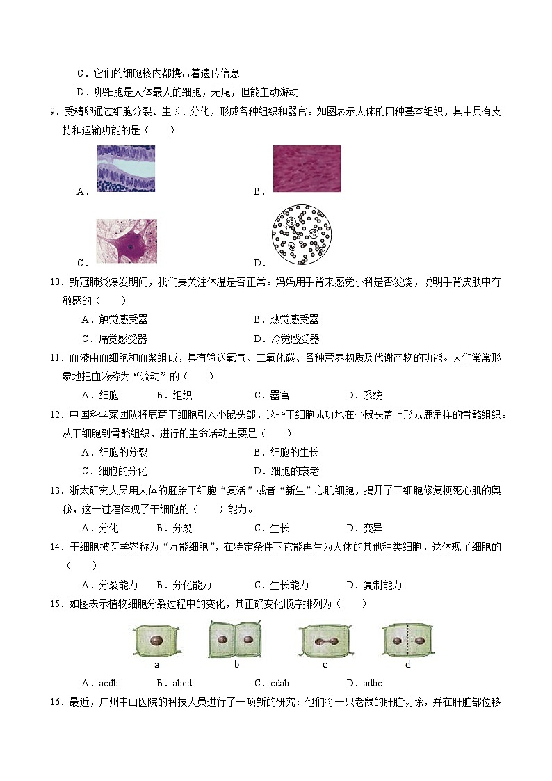 1.1 生物体的结构层次(第1课时)(练习)第3页