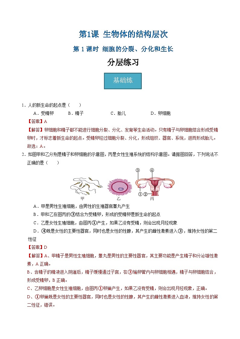 1.1 生物体的结构层次(第1课时)(练习)(含答案解析)第1页