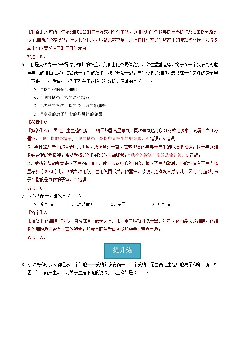 1.1 生物体的结构层次(第1课时)(练习)(含答案解析)第3页