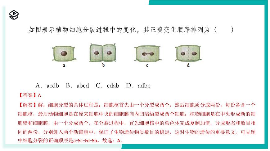 1.1 生物體的結(jié)構(gòu)層次（第1課時(shí)）-初中科學(xué)七年級(jí)下冊(cè) 同步教學(xué)課件（浙教版2024）第8頁