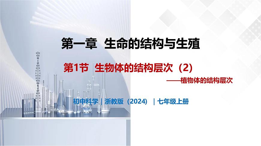 1.1 生物體的結(jié)構(gòu)層次（第2課時）-初中科學(xué)七年級下冊 同步教學(xué)課件（浙教版2024）第1頁