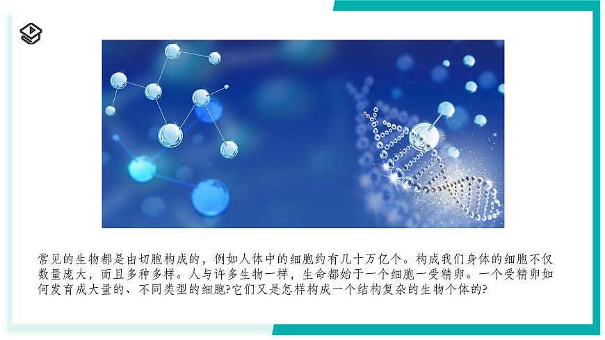 1.1 生物體的結(jié)構(gòu)層次（第2課時）-初中科學(xué)七年級下冊 同步教學(xué)課件（浙教版2024）第2頁