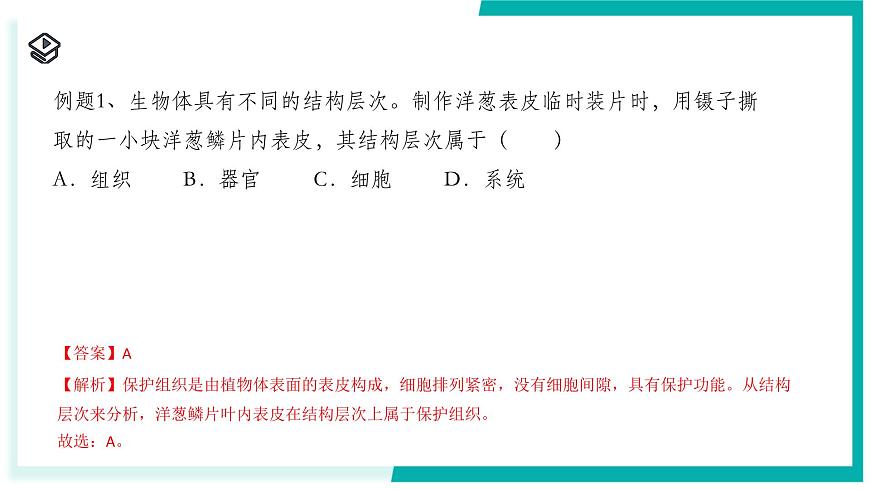 1.1 生物體的結(jié)構(gòu)層次（第2課時）-初中科學(xué)七年級下冊 同步教學(xué)課件（浙教版2024）第5頁