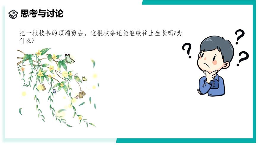 1.1 生物體的結(jié)構(gòu)層次（第2課時）-初中科學(xué)七年級下冊 同步教學(xué)課件（浙教版2024）第6頁