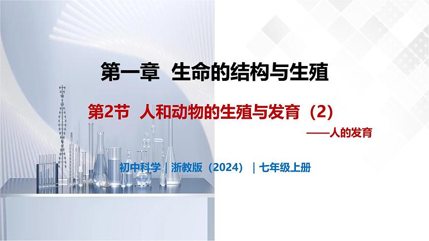 1.2 人和動物的生殖與發(fā)育（第2課時）-初中科學(xué)七年級下冊 同步教學(xué)課件（浙教版2024）第1頁