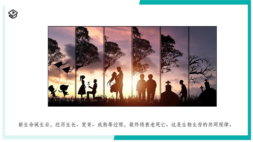 1.2 人和動物的生殖與發(fā)育（第2課時）-初中科學(xué)七年級下冊 同步教學(xué)課件（浙教版2024）第2頁