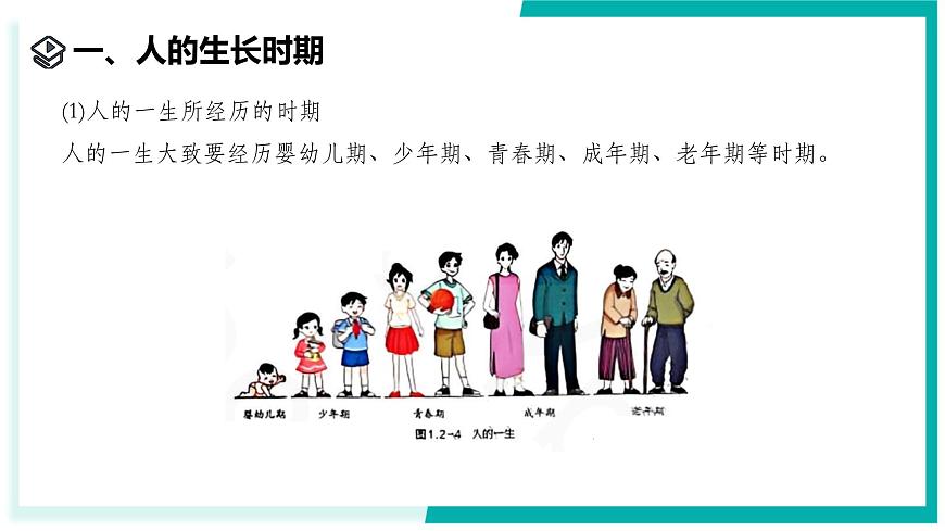 1.2 人和動物的生殖與發(fā)育（第2課時）-初中科學(xué)七年級下冊 同步教學(xué)課件（浙教版2024）第3頁