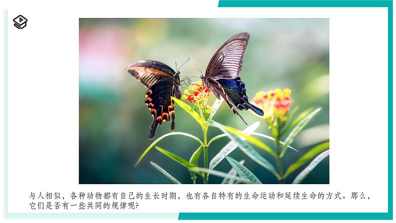 1.2 人和动物的生殖与发育(第3课时)-初中科学七年级下册 同步教学课件(浙教版2024)第2页